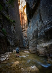 Woman Looks Up to Sunlight Trying to Break Into The Narrows canyon