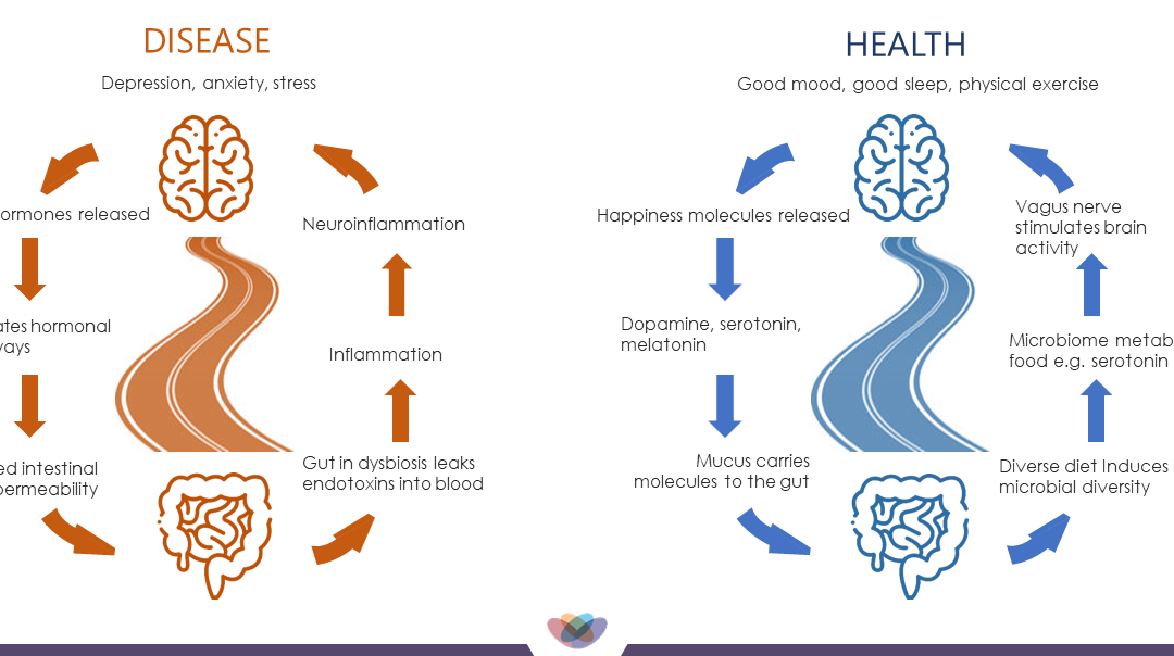 Depression is not just in your head: The Gut-Brain Connection