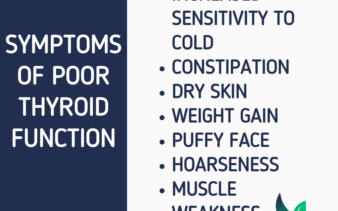 Thyroid Health: What You Need to Know Now