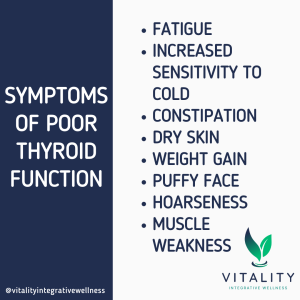 Symptoms of thyroid dysfunction are fatigue, increased sensitivity to cold, constipation, dry skin, weight gain, puffy face, hoarseness, muscle weakness.